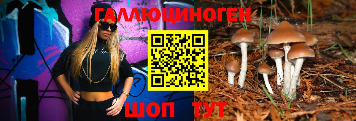 Туймазы  Галлюциногенные грибы мицелий  продажа наркотиков  Вход с VPN 